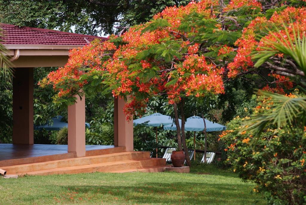 האזיביו Abangane Guest Lodge מראה חיצוני תמונה