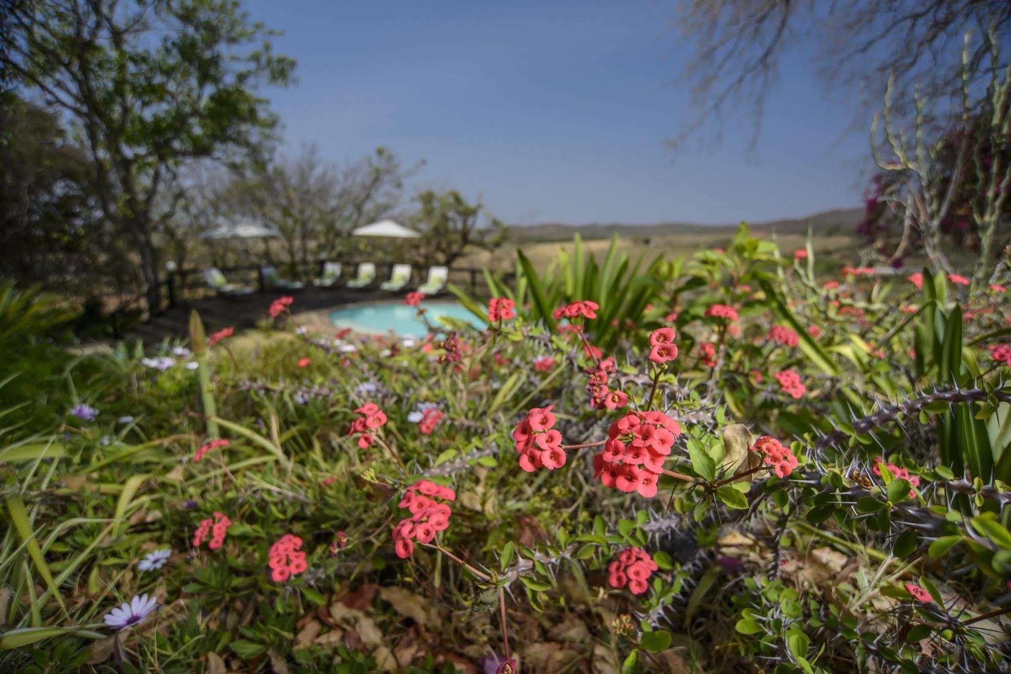 האזיביו Abangane Guest Lodge מראה חיצוני תמונה