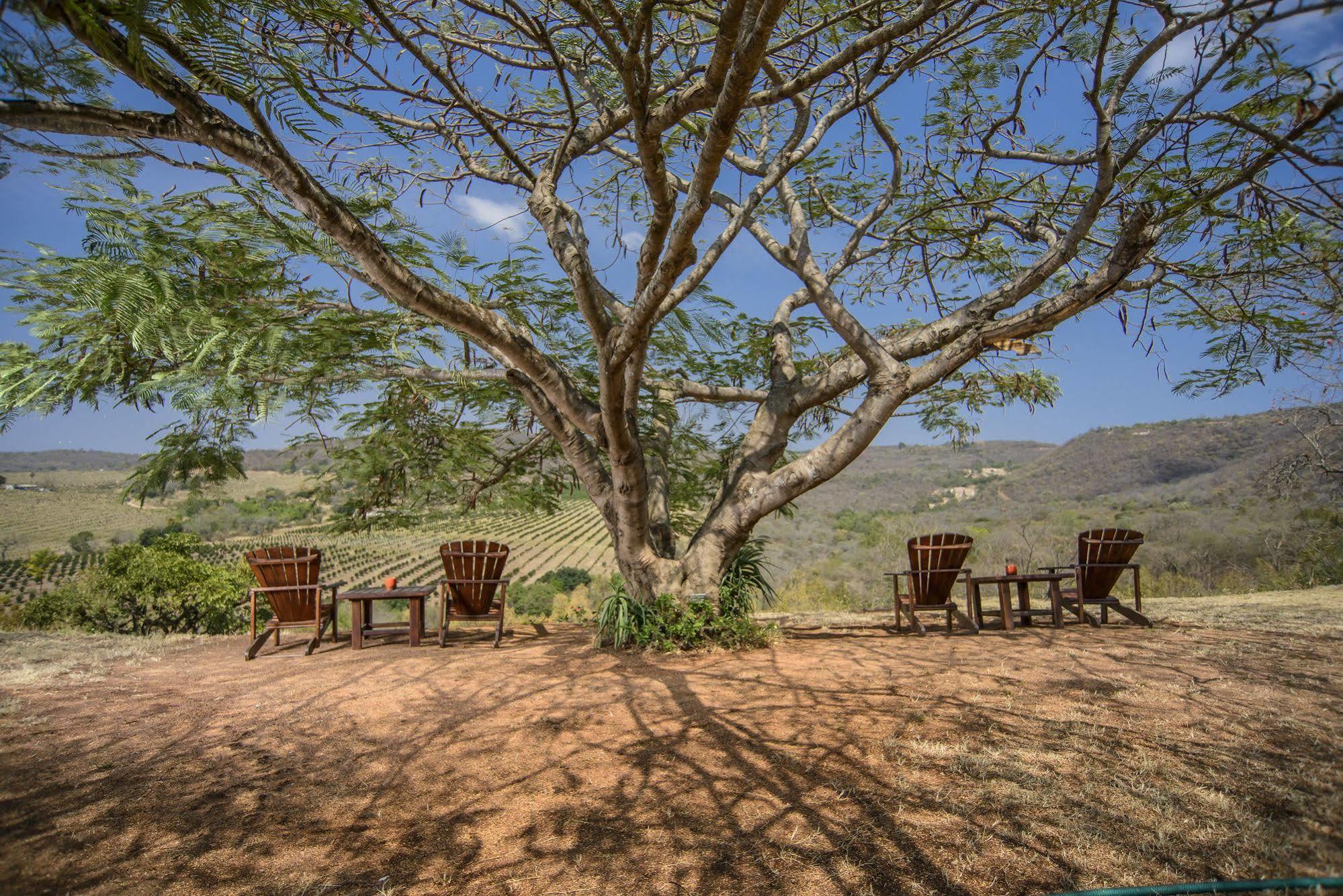 האזיביו Abangane Guest Lodge מראה חיצוני תמונה