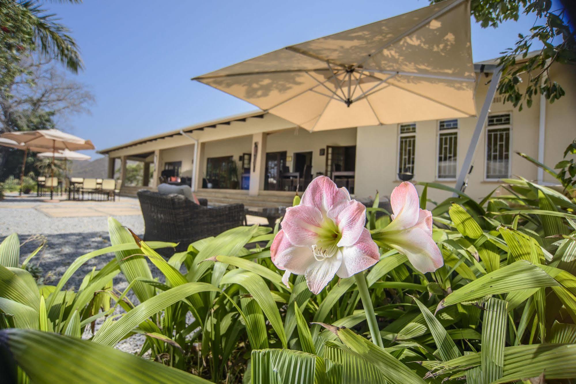 האזיביו Abangane Guest Lodge מראה חיצוני תמונה