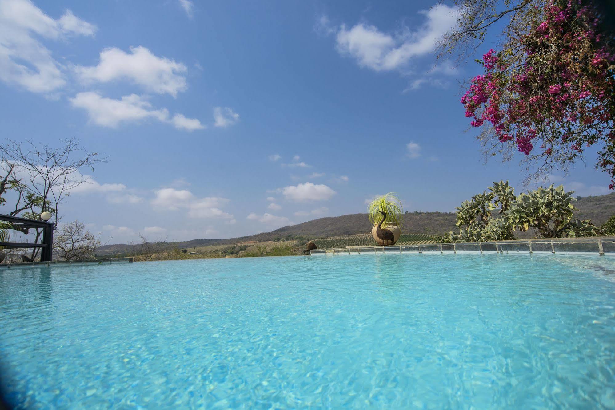 האזיביו Abangane Guest Lodge מראה חיצוני תמונה